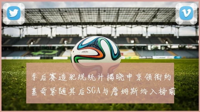 季后赛造犯规统计揭晓申京领衔约基奇紧随其后SGA与詹姆斯均入榜前十